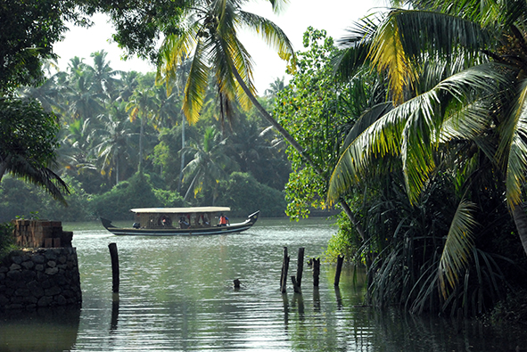 Into the Backwaters II