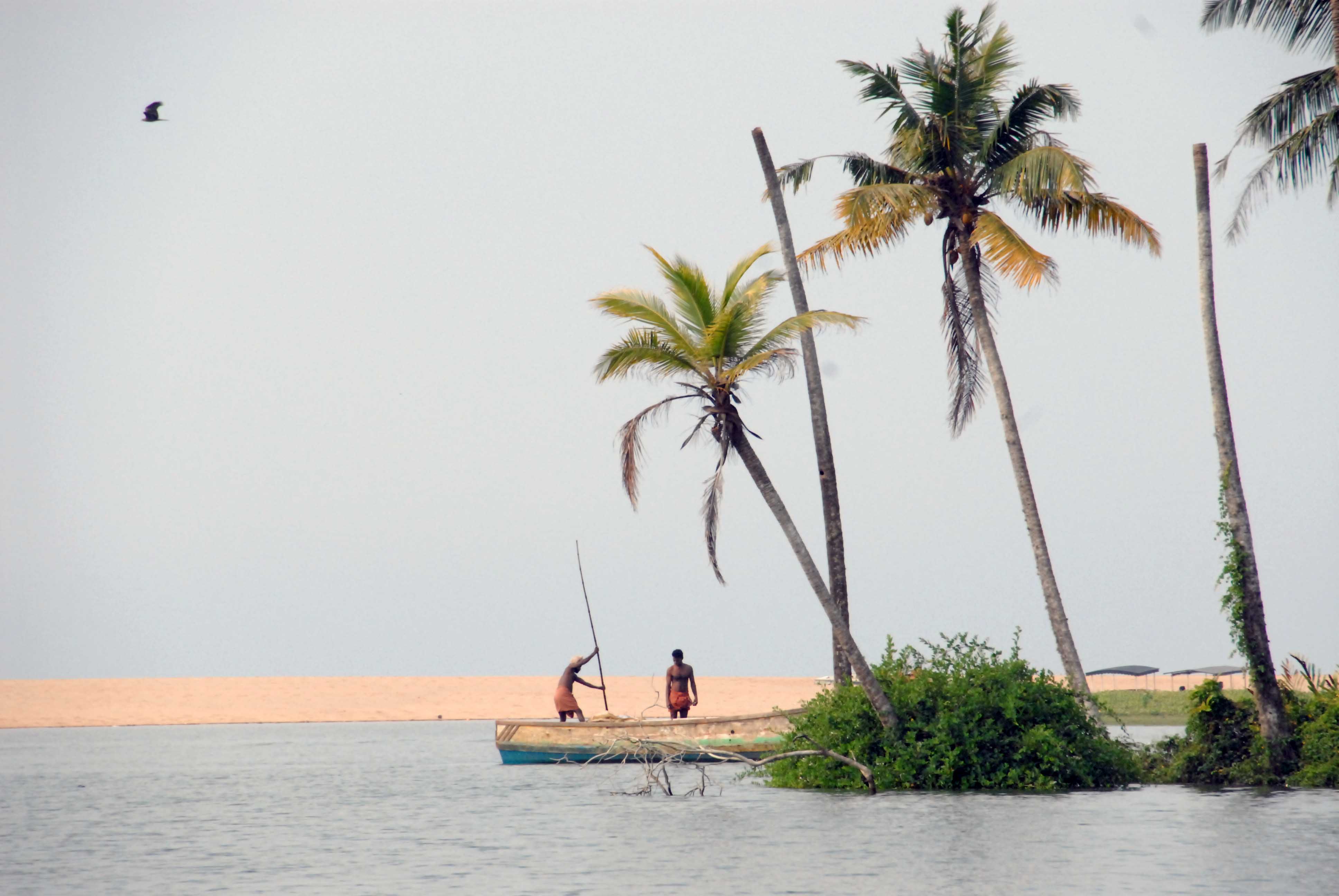 Into the Backwaters